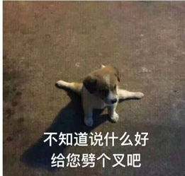是时候为直男们正一波名了