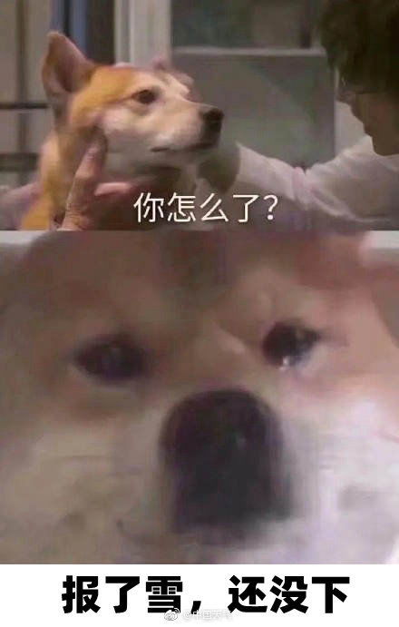 雪线推至湖南北部大城市的雪什么时候下