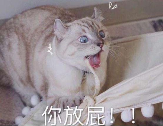 猫咪爱经常放屁伴有腥臭味此时初步可以断定为钩虫感染病