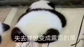 古有蜘蛛精在盘丝洞,今有小蜘蛛在浴室...