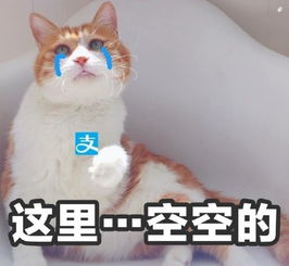 你们都是臭袜子什么意思你们都是臭袜子表情包