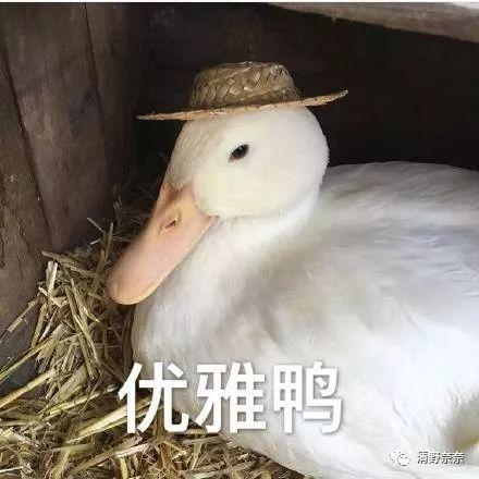 去黑头势在必行跟着我一起做,黑头白头立扫光
