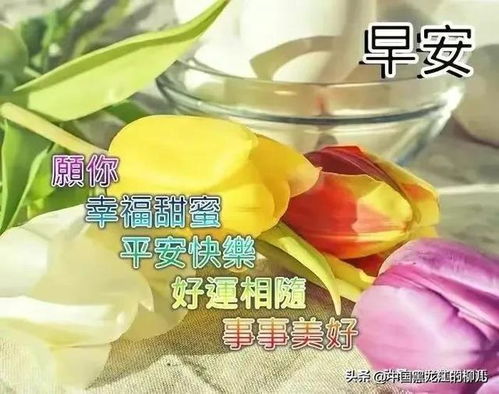 32份问候心语中蕴含了对友友心心相牵的一片美好情愫祝午间愉快