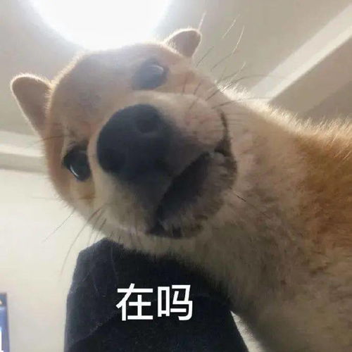 已读不回,是我眼中职场最大的pua