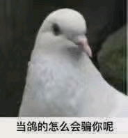 拯救文荒的姐妹们纯爱推文