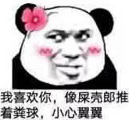 表情包找对象这事,就算是抓阄也该轮到我了吧