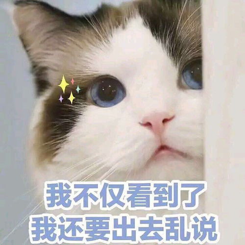 有没有外油内干的小仙女