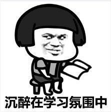 爱学习表情包送你考研复习的你