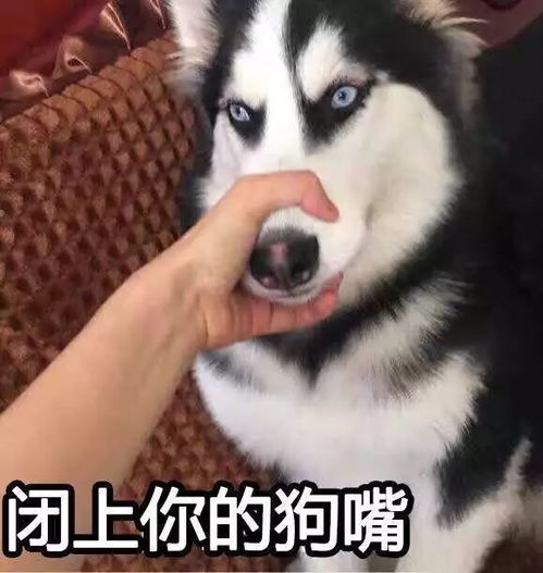 春晚小品惹群愤老婆一天不到两块钱