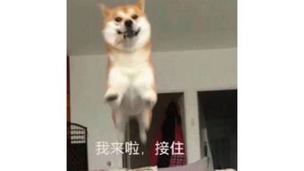 因为小包总,我和闺蜜撕逼了