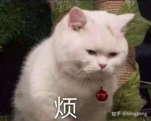 兄弟姐妹们们求大家告诉我怎么变成一个可爱的女孩子直女我太直了