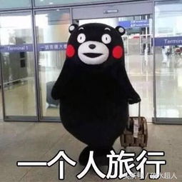 去了趟泰国,从第一天病倒最后一天