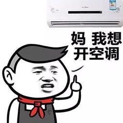 同学,是时候用一波表情包回首暑假了