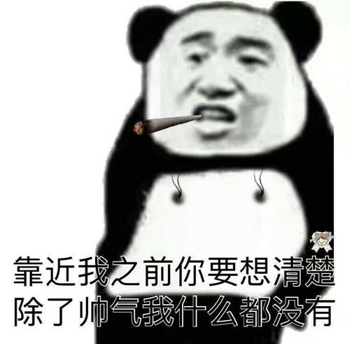有什么笑到头掉的表情包