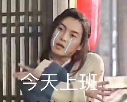 每日表情包丨朋友圈打卡用得上哦