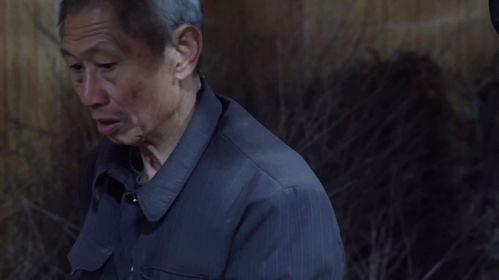 农村四哥大姐回去,爸妈送她一大包好货,女儿永远是父母心头肉
