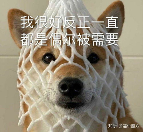 有哪些搞笑的文案可以借鉴
