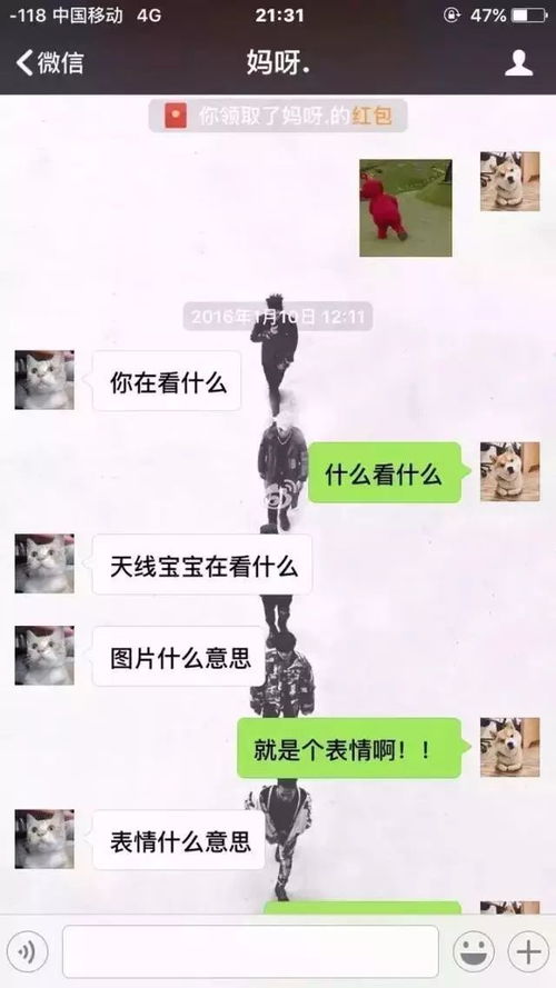 微信语音表情包9秒减肥药
