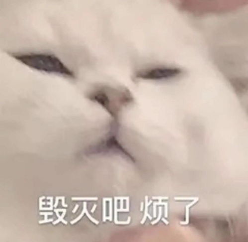 我来了表情包可爱头像