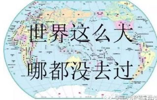 你是学啥专业的憋说话,上表情包