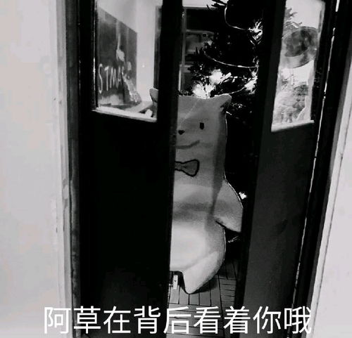 asoul表情包分享91