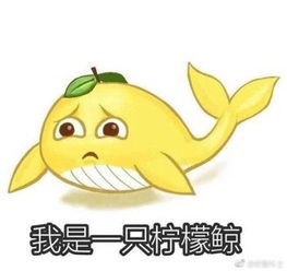 生活充满了希望表情包