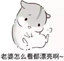求生欲很强的男生是怎样聊天的