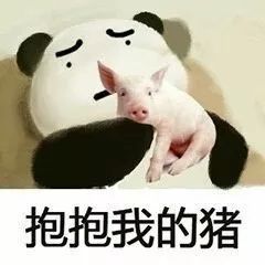 刘阿圆抱着猪的表情包饥荒手机版