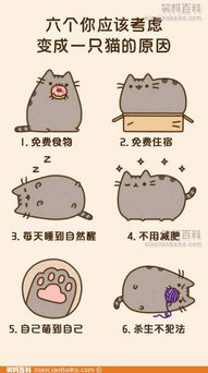 请问这个猫叫啥,有没有表情包,谢谢