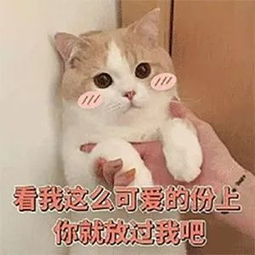 撒娇专用表情包咬你,大坏蛋