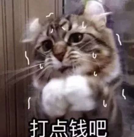 双十一要饭表情包奉送