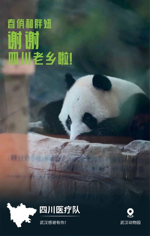 也太好哭了武汉用32张海报,对31个支援地区说谢谢