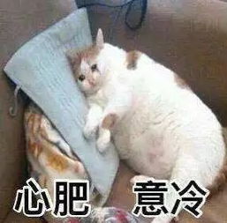 为什么我发的朋友圈总是没有人点赞