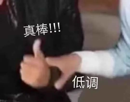 哔哩哔哩专栏