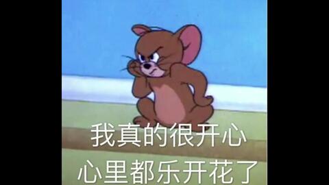 神奇猫和老鼠生草表情包