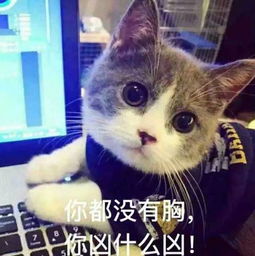 嘻哈我没有,但中国有哈哈哈哈哈哈哈哈哈我一定能拿冠军
