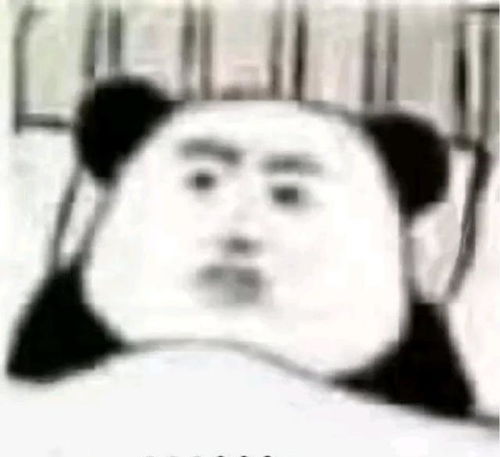 奶声奶气的奶九播报no.223
