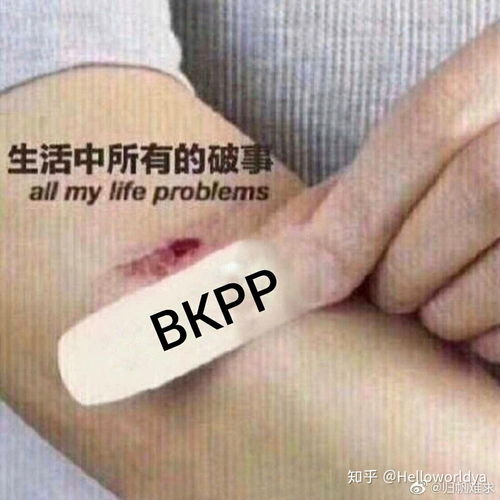 你磕bkpp时候有没有做了什么不同寻常的事