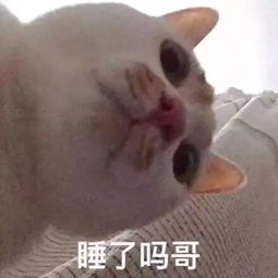 细数听起来很厉害,学起来想狗带的专业,看看有你的吗
