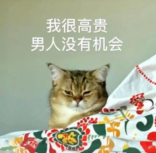 抖音热门表情包丨你别过来我怕狗