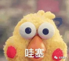 贴贴表情包粉色考拉川里