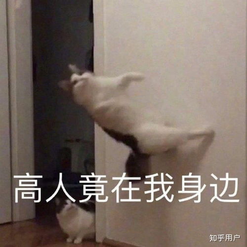 男生跟你养火花是什么意思