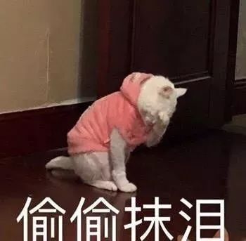 一个不小心,笑翻在那些年跟长辈的代沟里