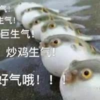 长春这些传说中的教育用地曝光有你家附近的么