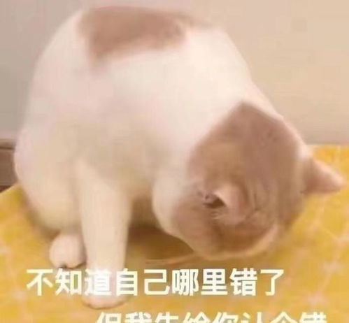 头一次见到这么不正经的纪录片,沙雕聚集守护解放西