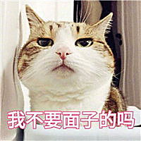 表情包写作业时和家长的斗智斗勇,学生党我不要面子的么
