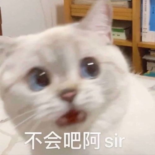 萧萧闻雁飞的徐志光的个人空间acfun弹幕视频网认真你就输啦ω