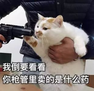 广东查获一批进口假顶级伟哥,吃了可能要人命