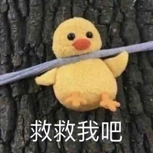 听说,8成大学生认为自己社恐
