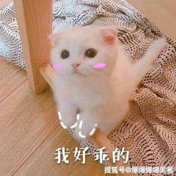 笑话段子悟空,取经路上,最难受的是什么